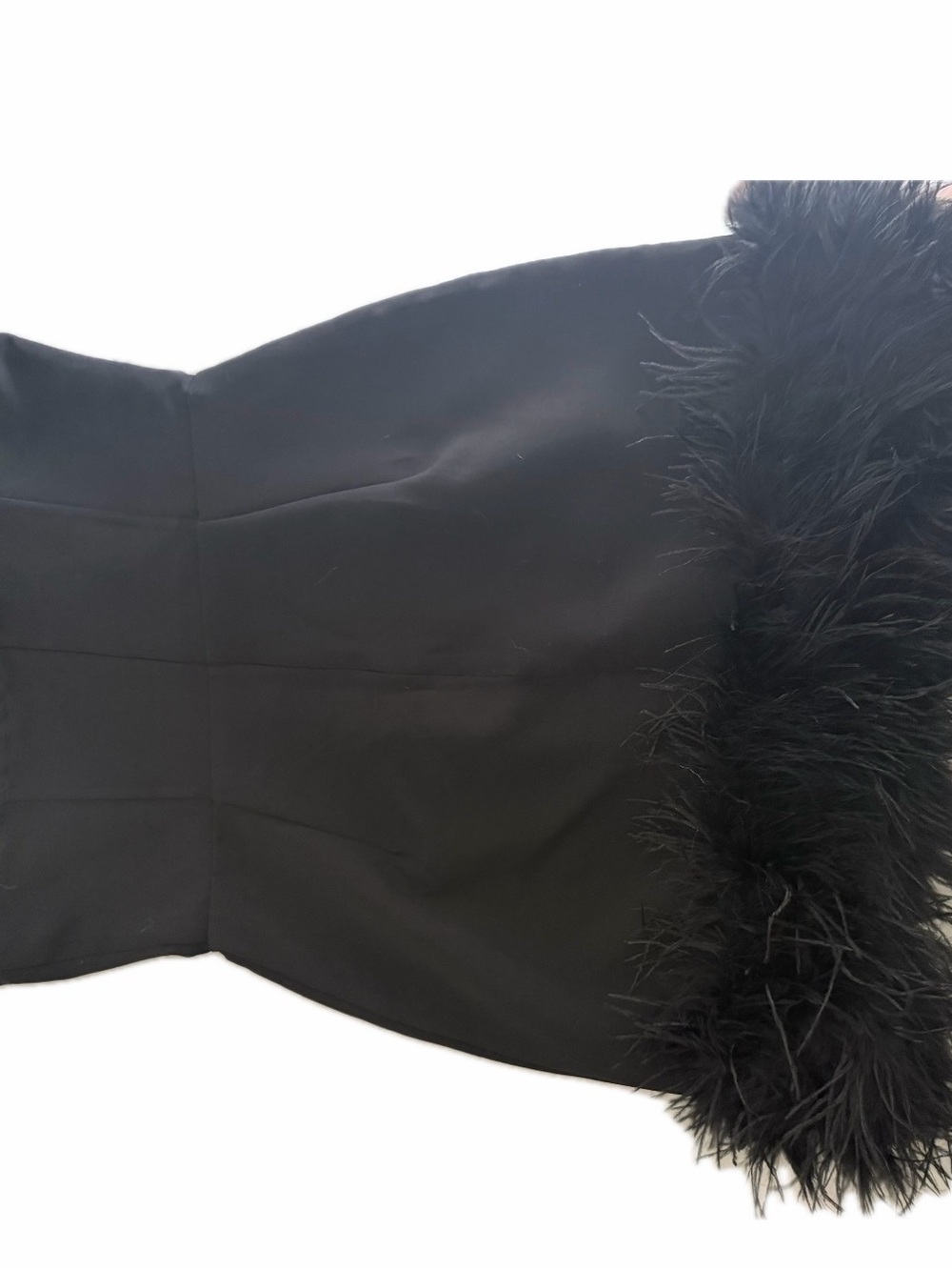 Strapless Black Mini Dress with Feather Hem - Picture 4 of 4
